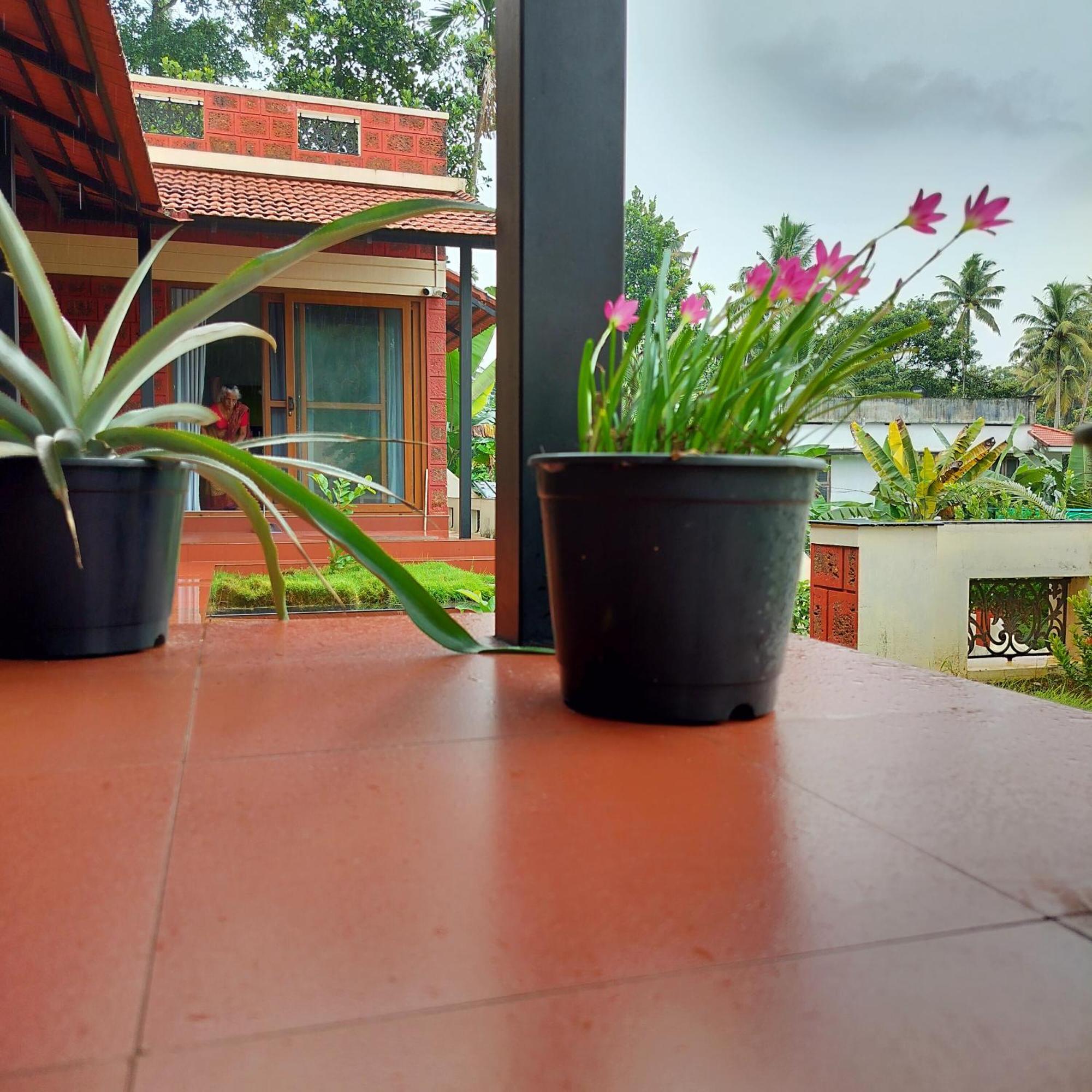 The Ixora - A Boutique Homestay Варкала Екстер'єр фото