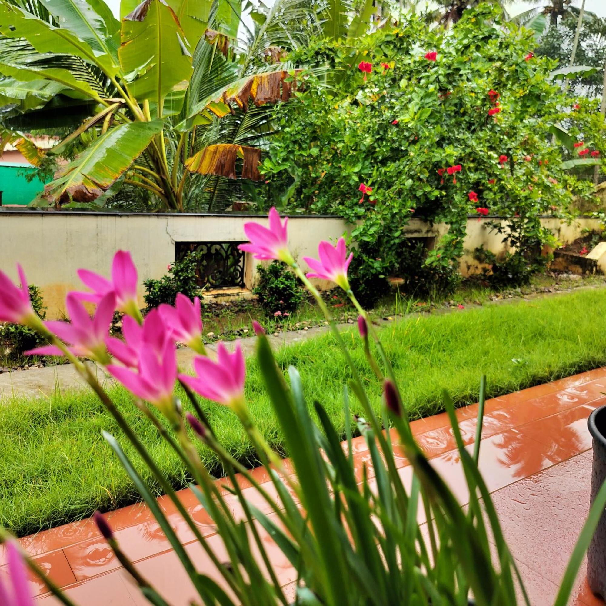 The Ixora - A Boutique Homestay Варкала Екстер'єр фото
